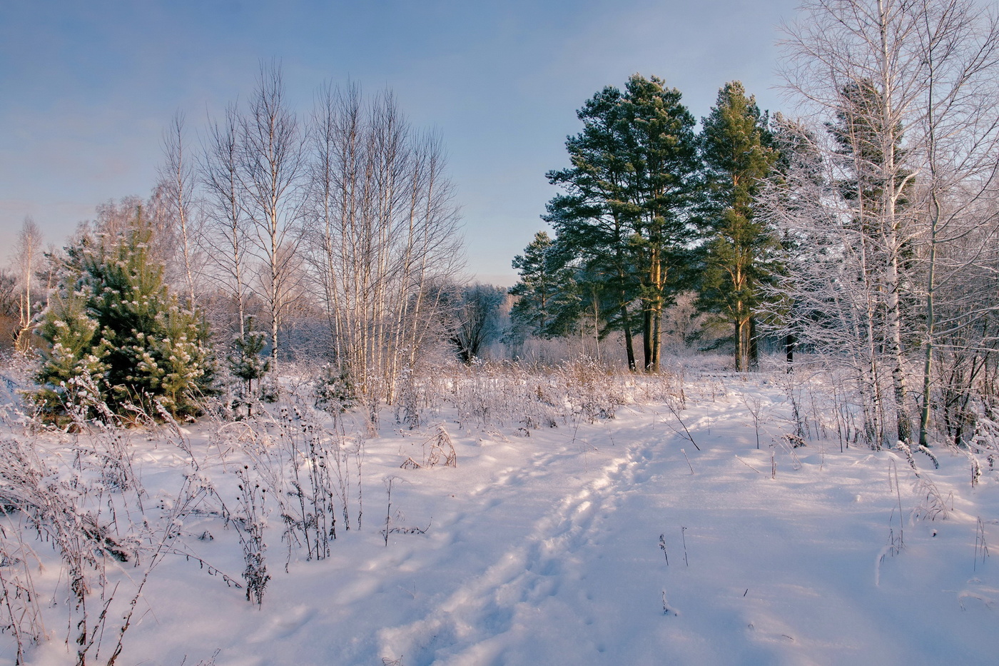 Неспешная прогулка