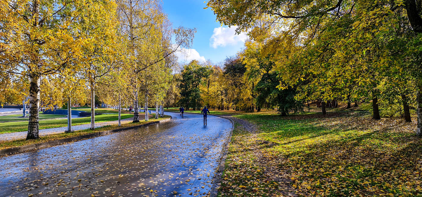 Неспешная прогулка