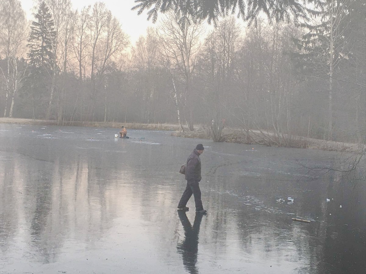 Неспешная прогулка