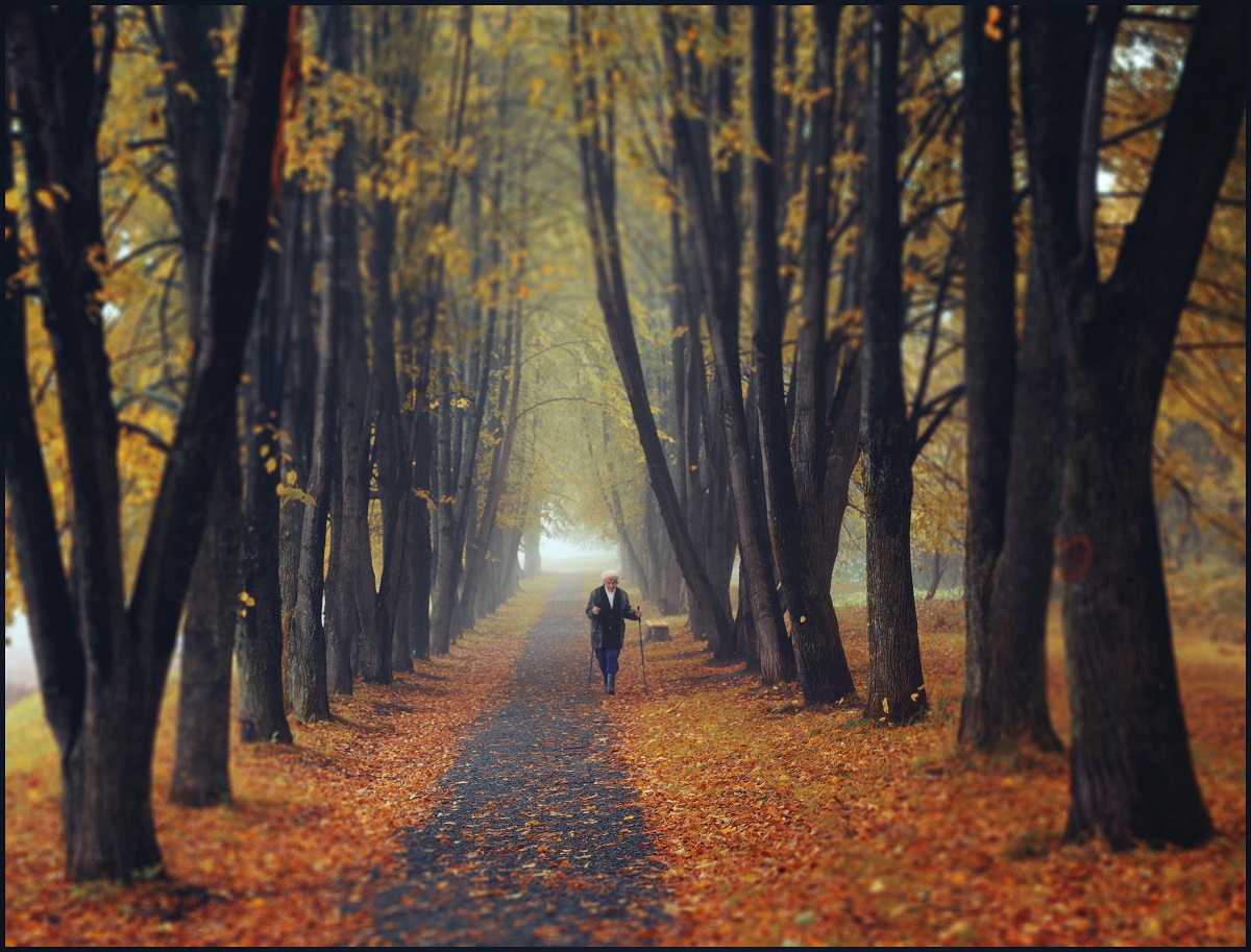 Неспешная прогулка