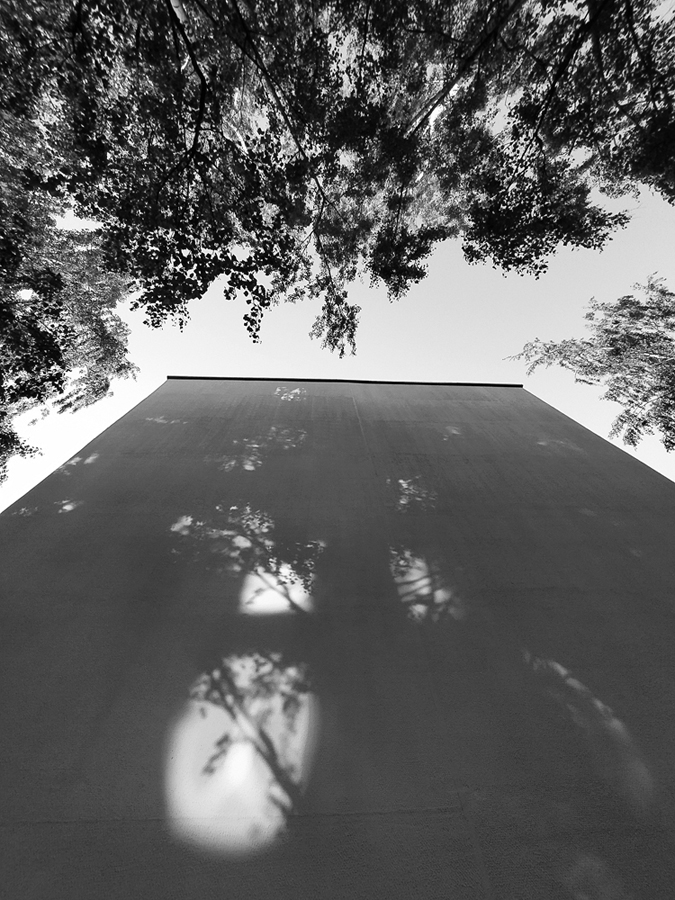 Неспешная прогулка