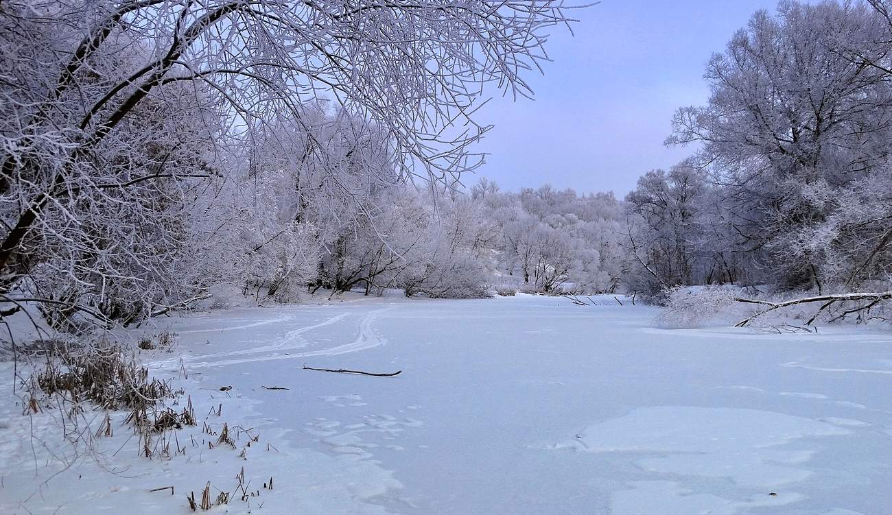 Зима решила побаловать снежком