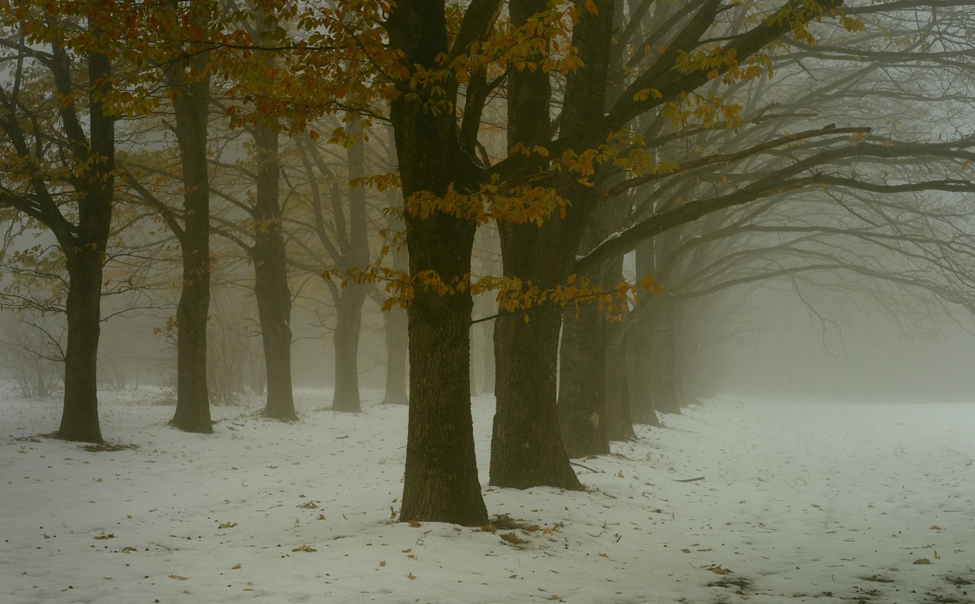 Первый снег