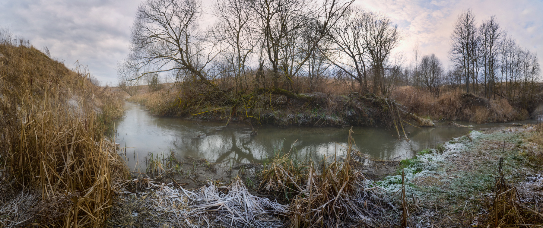 Декабрьское предзимье