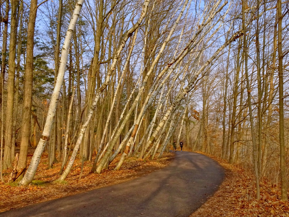 Неспешная прогулка