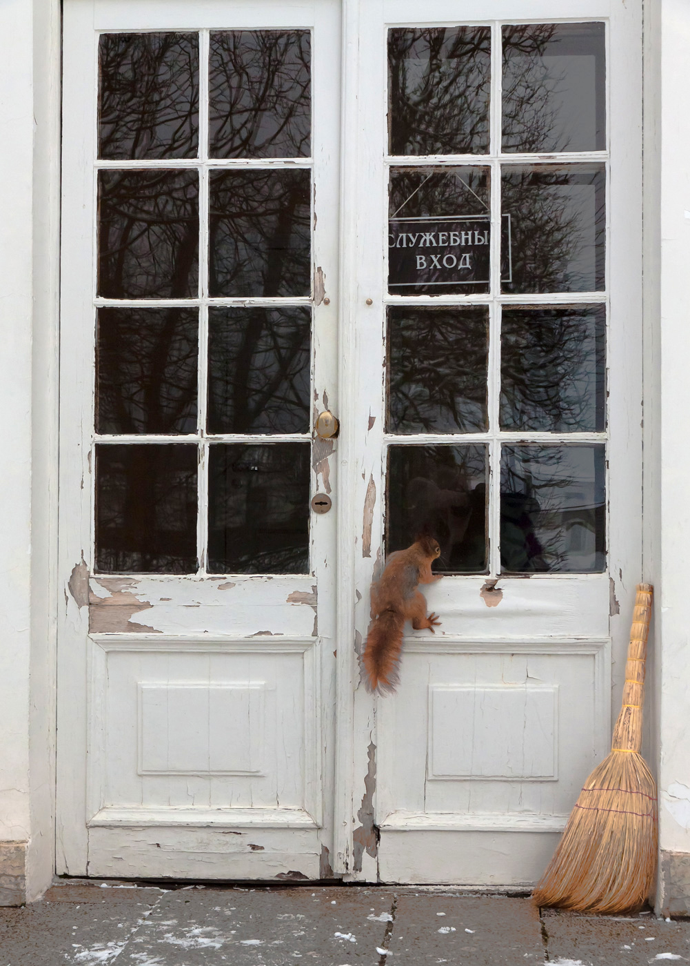 Забыла пропуск