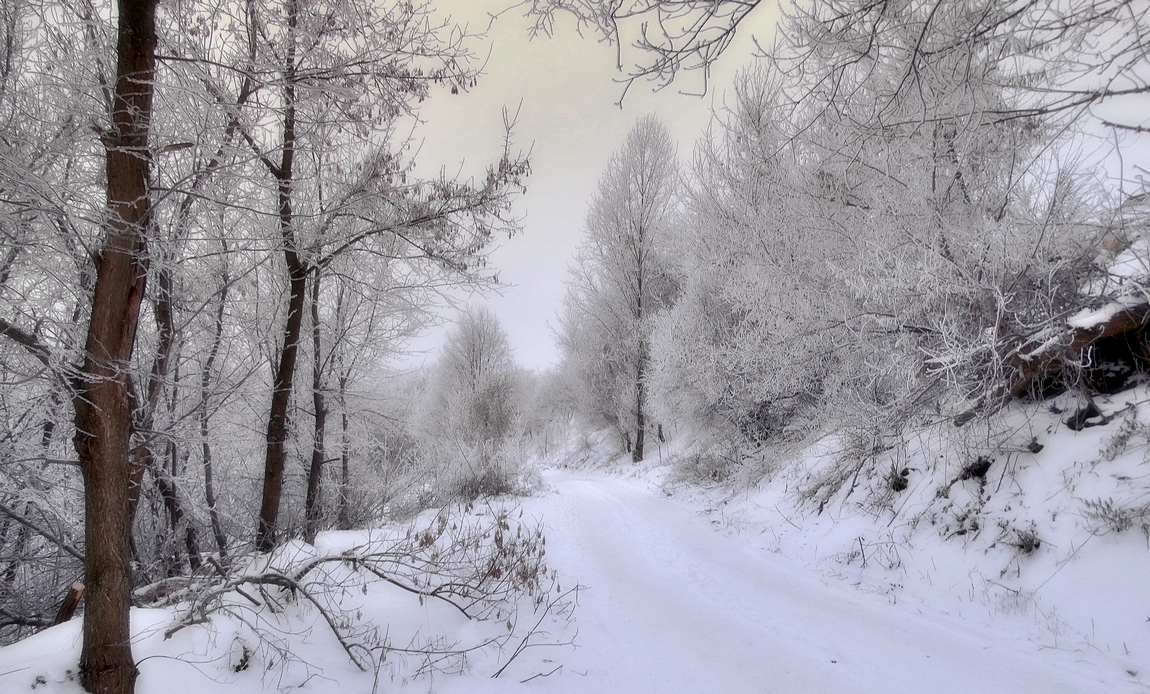 Зима постаралась украсить природу