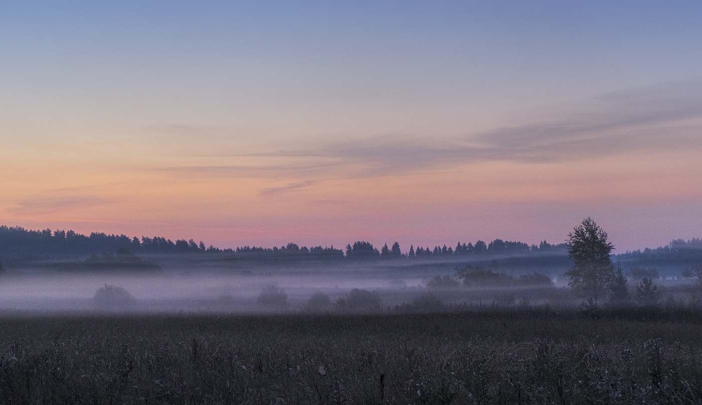 Стелился по полю туман