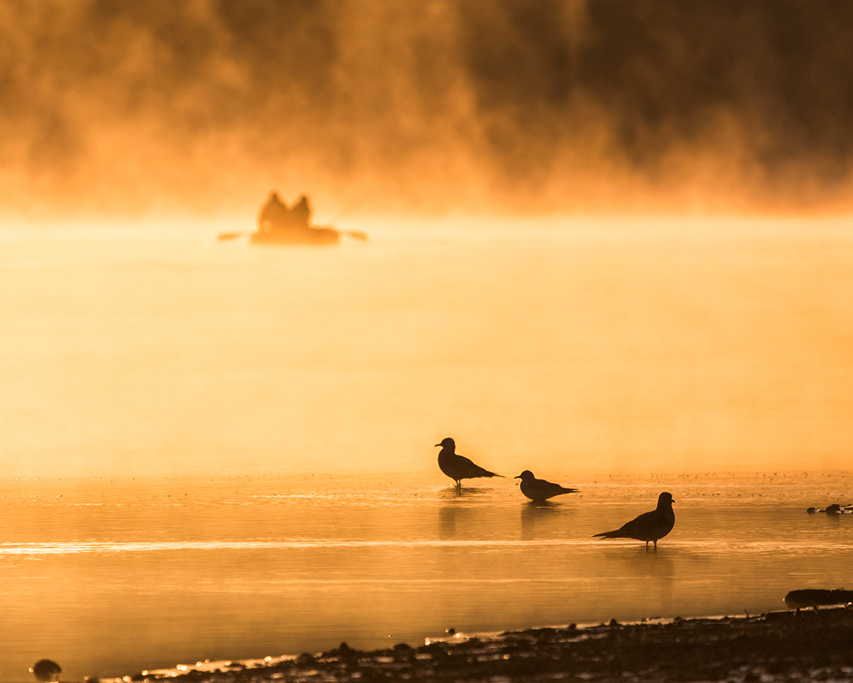 Доброе утро