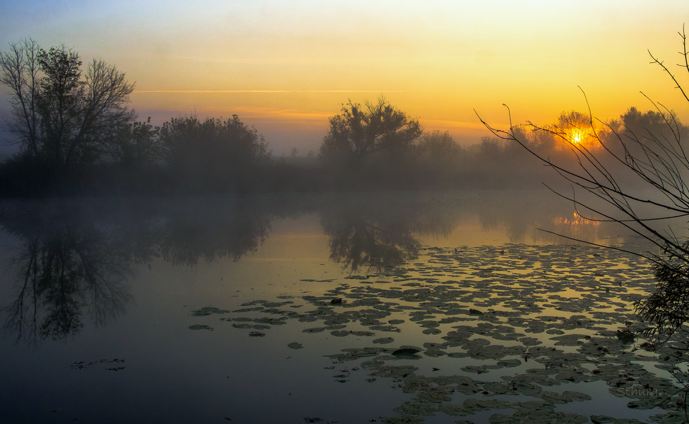 Туманная осень.