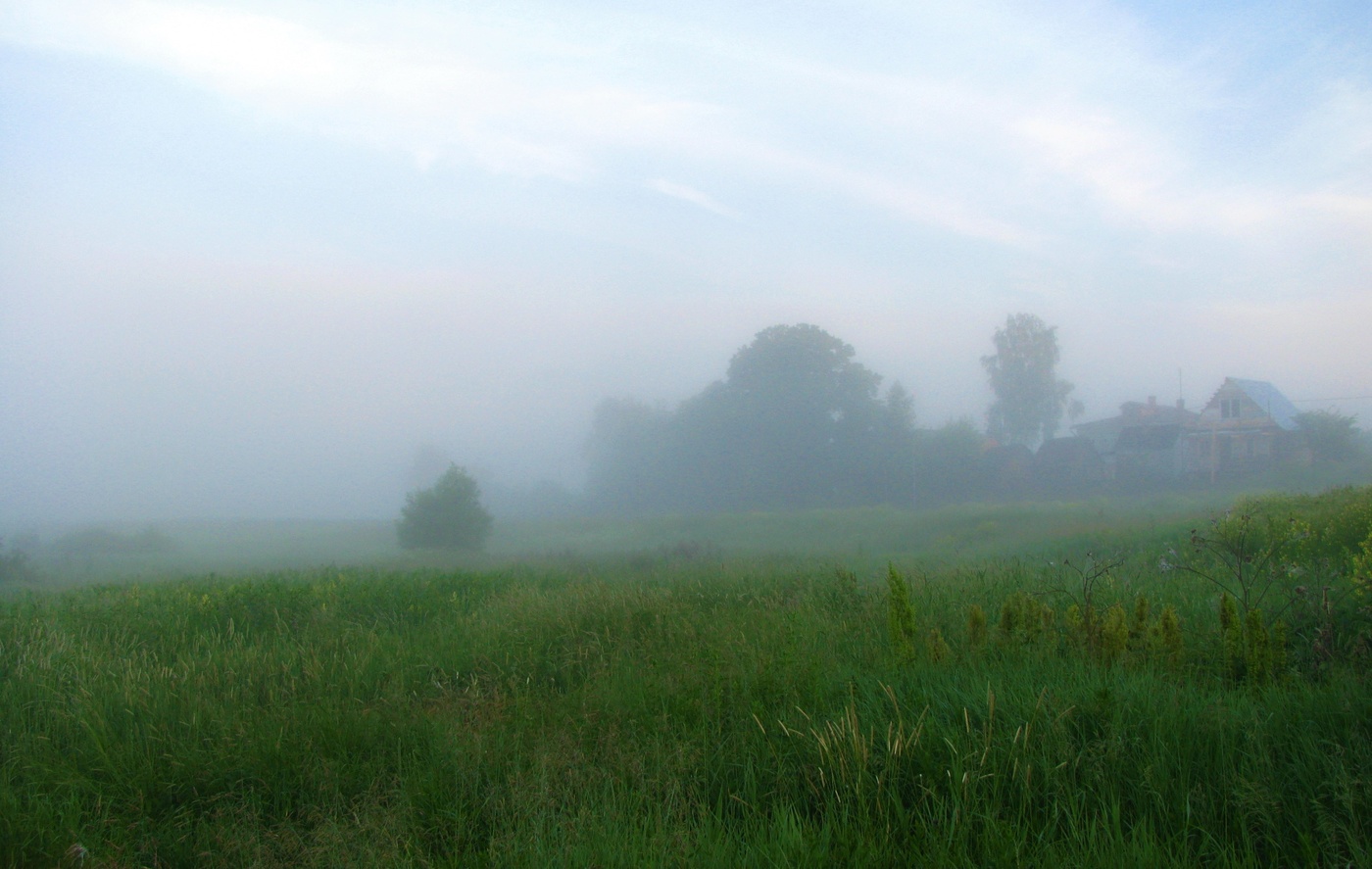 Туманным утром...
