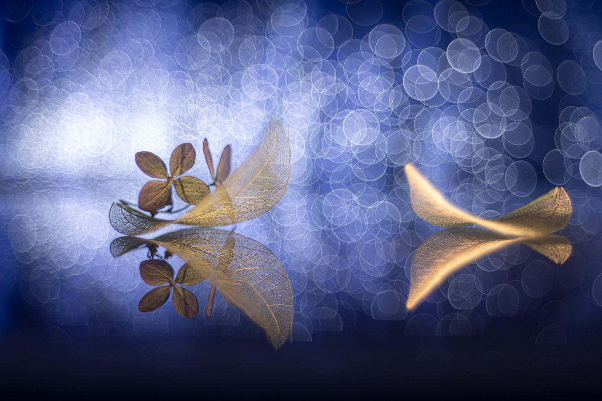 Two boats in the valley of dreams