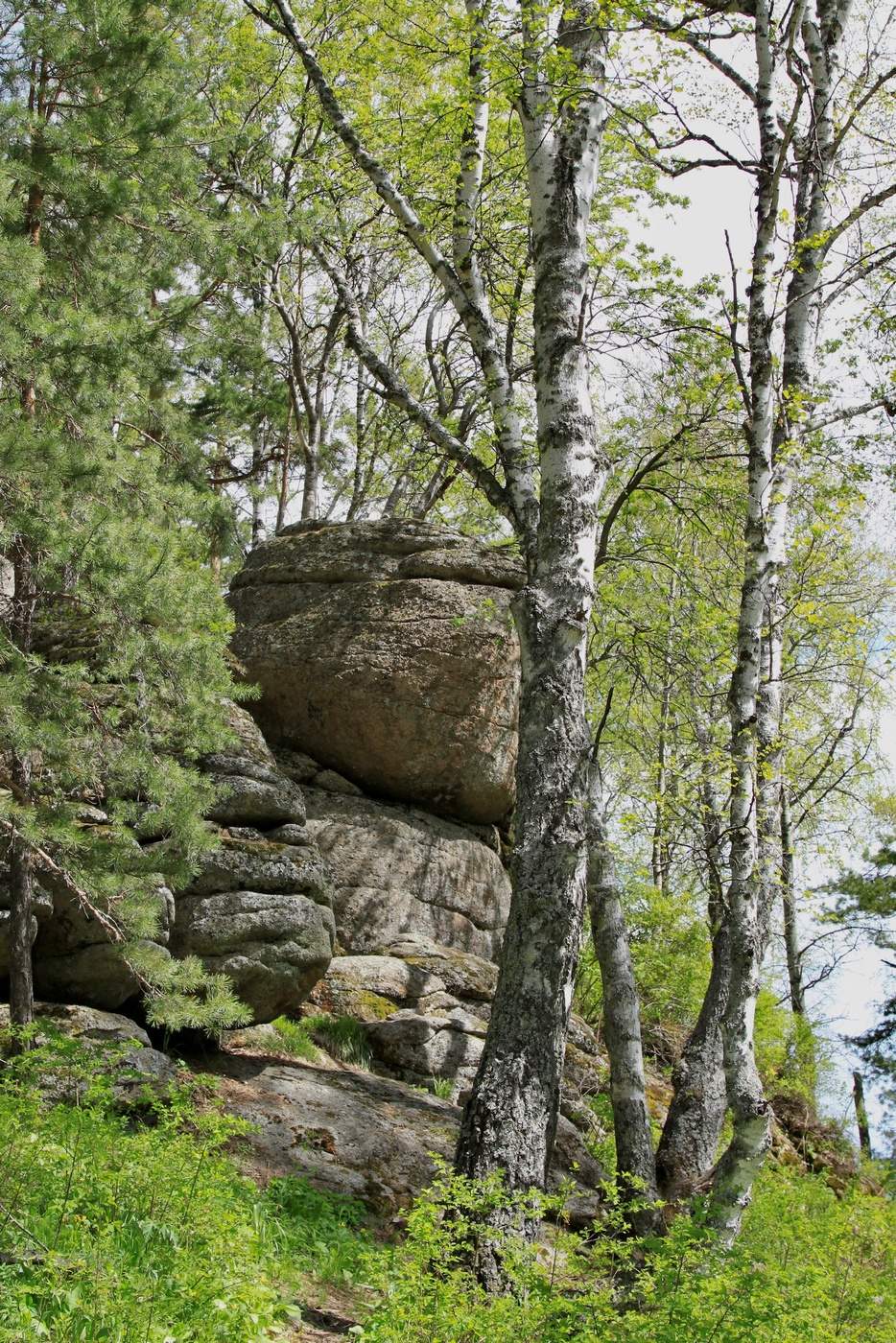 Пейзажи Белокурихи