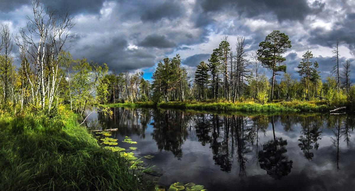 Вот выглянуло солнце из-за туч...