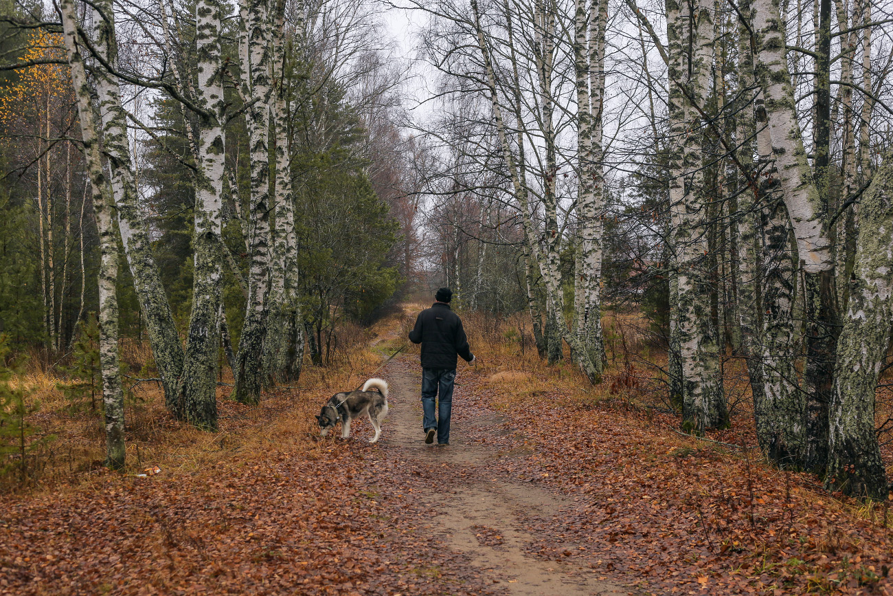 Прогулка в осень