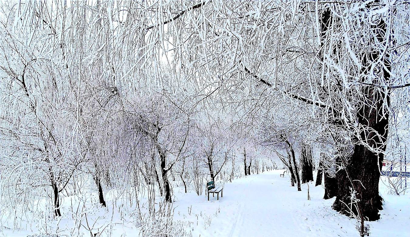 Снег и иней ранним утром