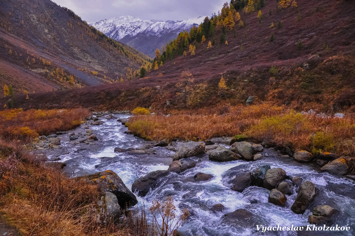 Горный ручей на Алтае