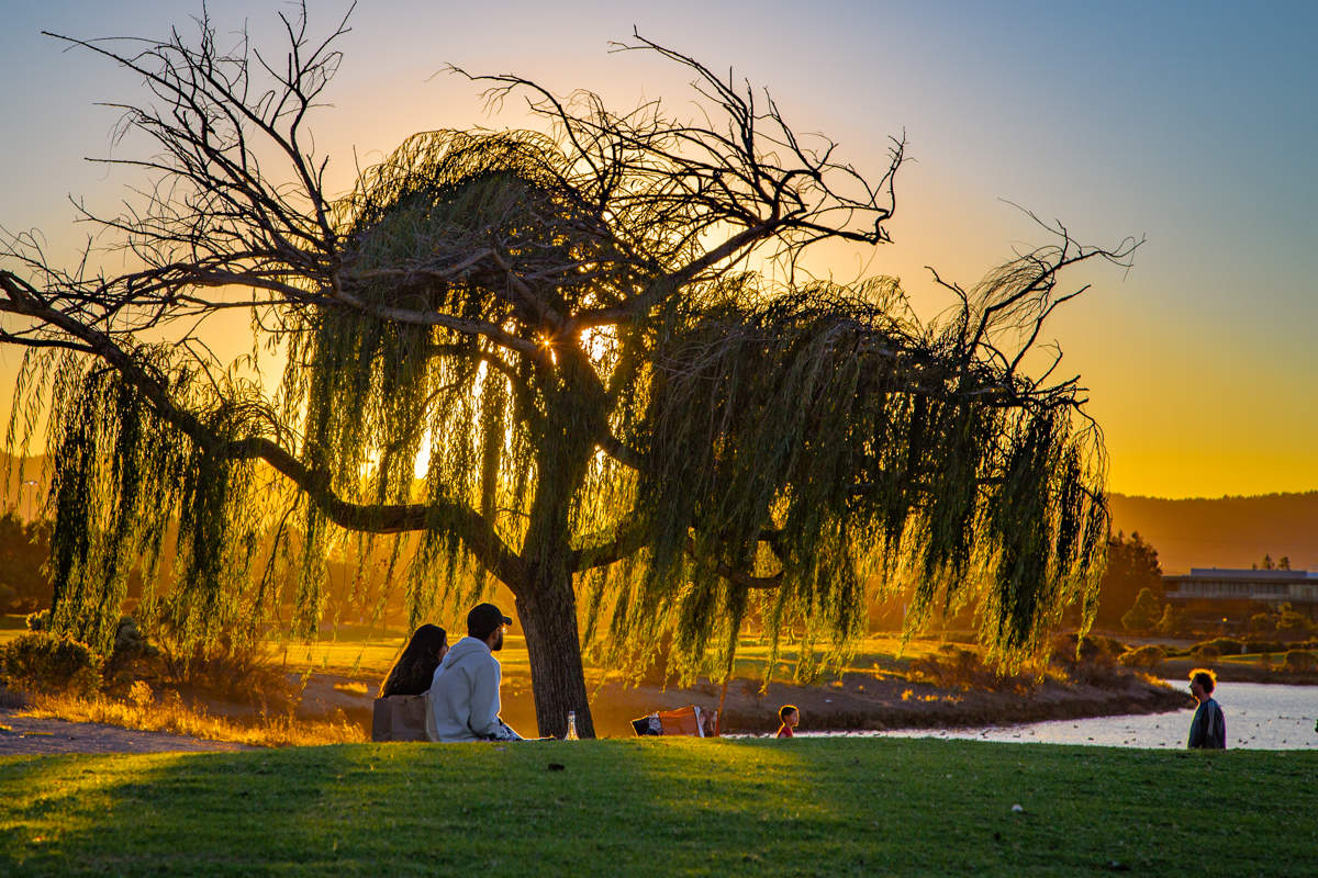 Вечерний мотив