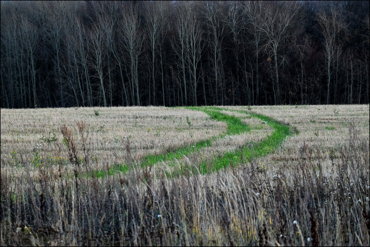зеленая верста