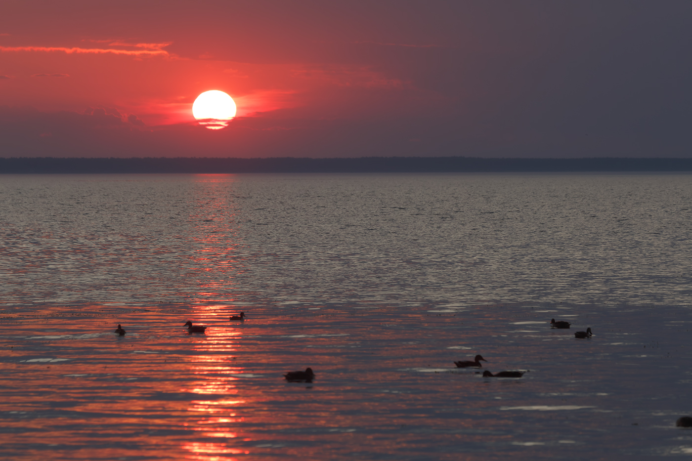 Невечные моменты