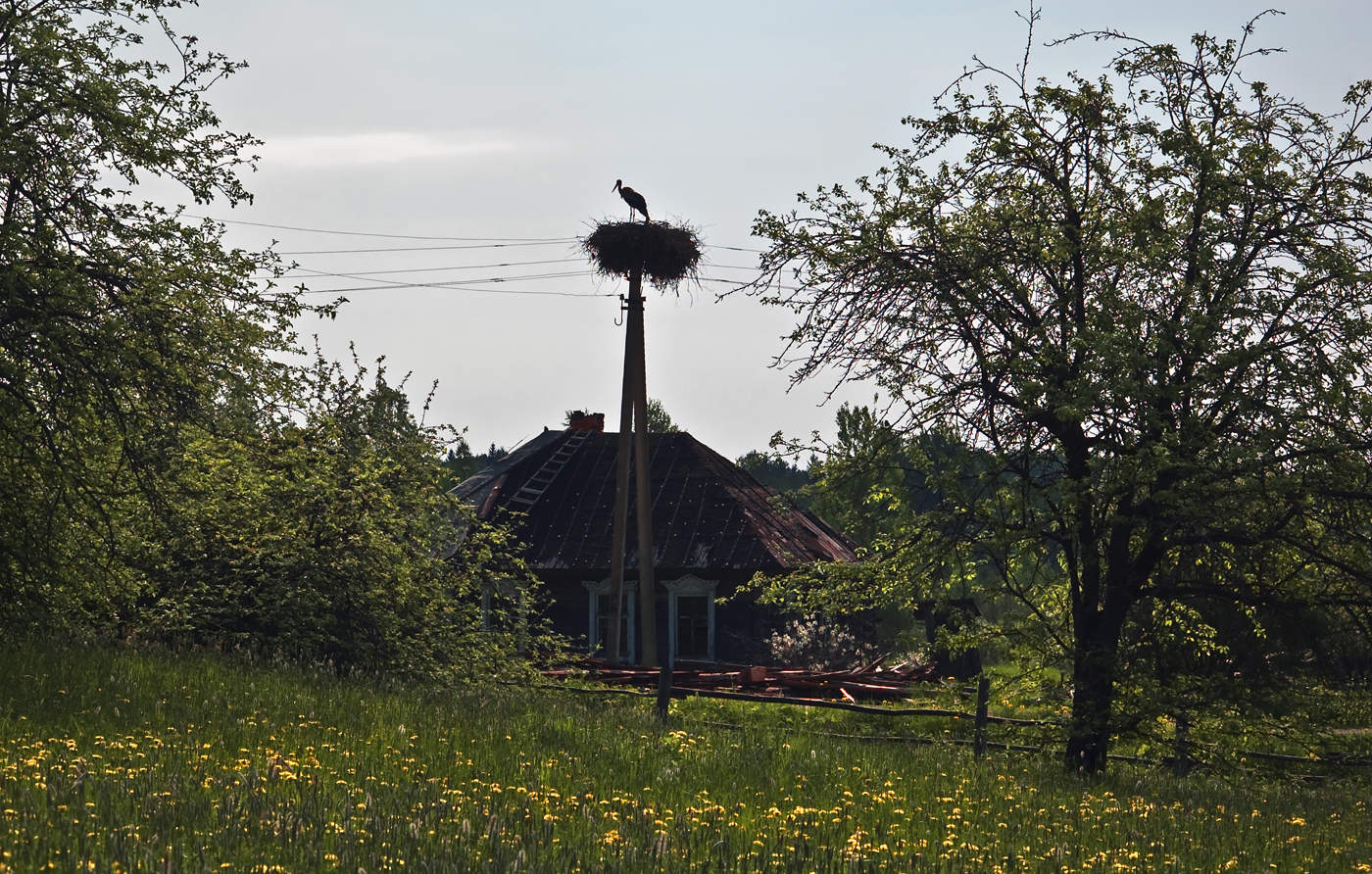 Невечные моменты