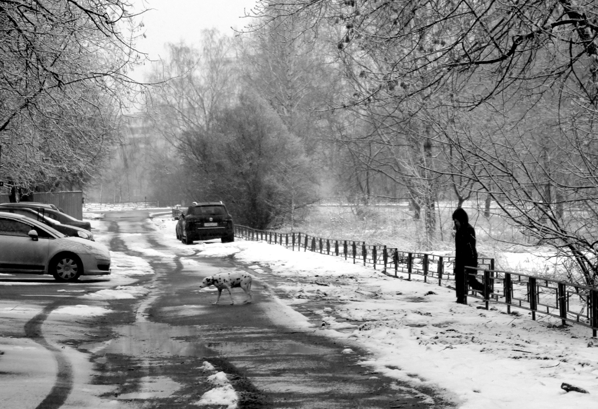 Невечные моменты