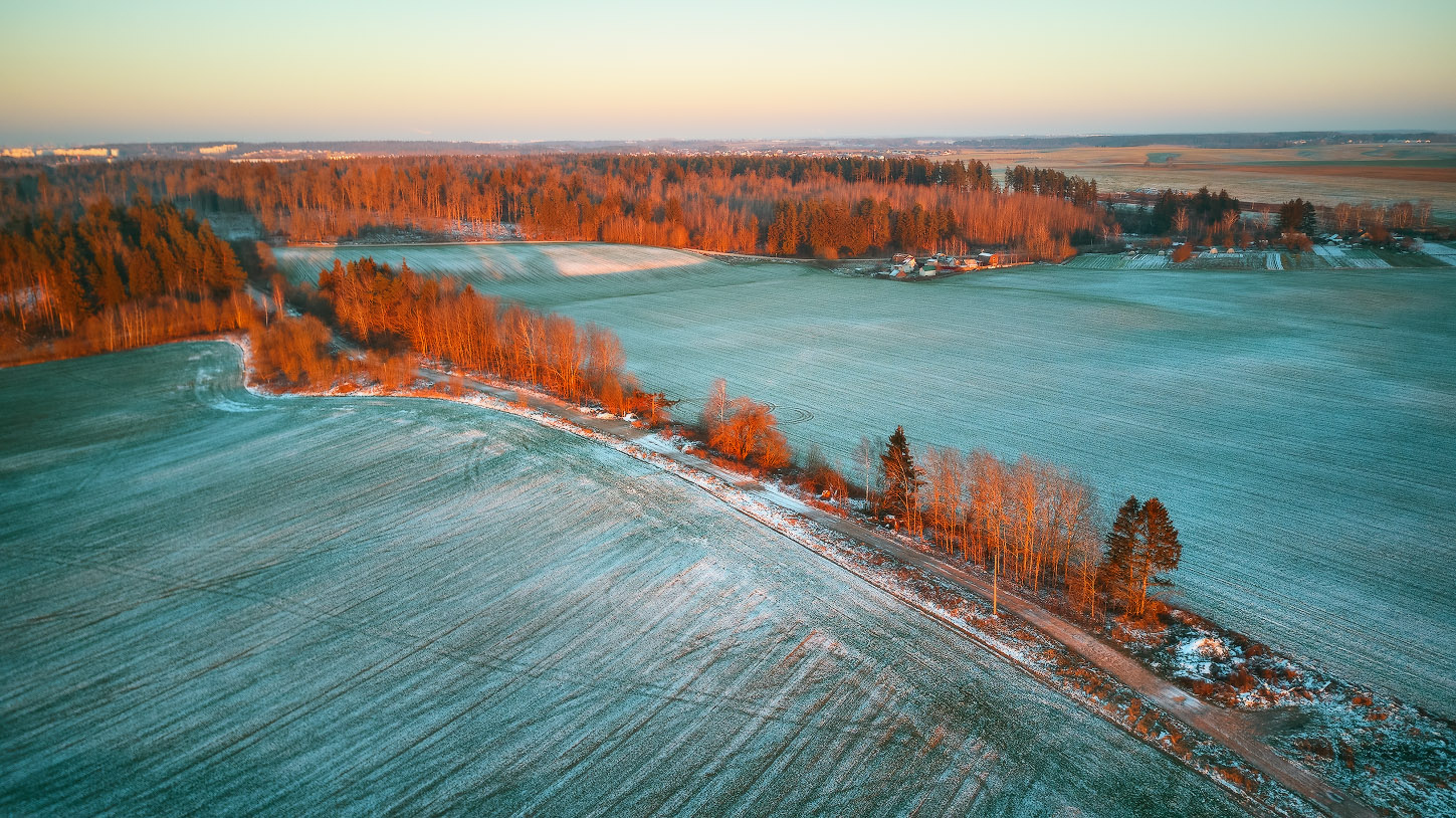 Озимые со снегом
