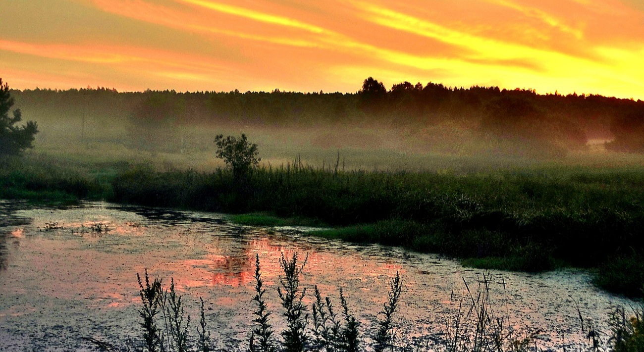 Близится туманная ночь