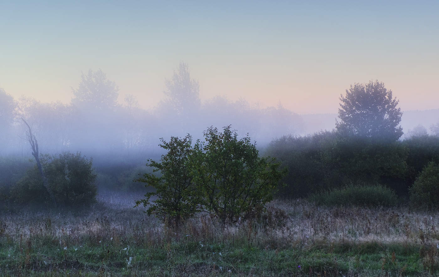 В объятиях тумана