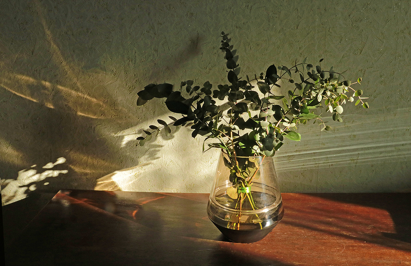 Свет и тени