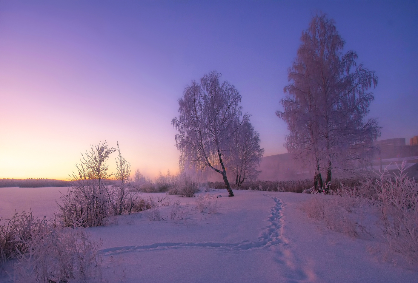 Розовое утро