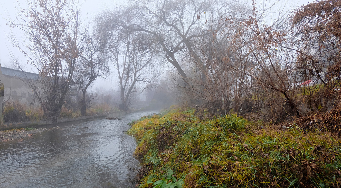 Свежий туман