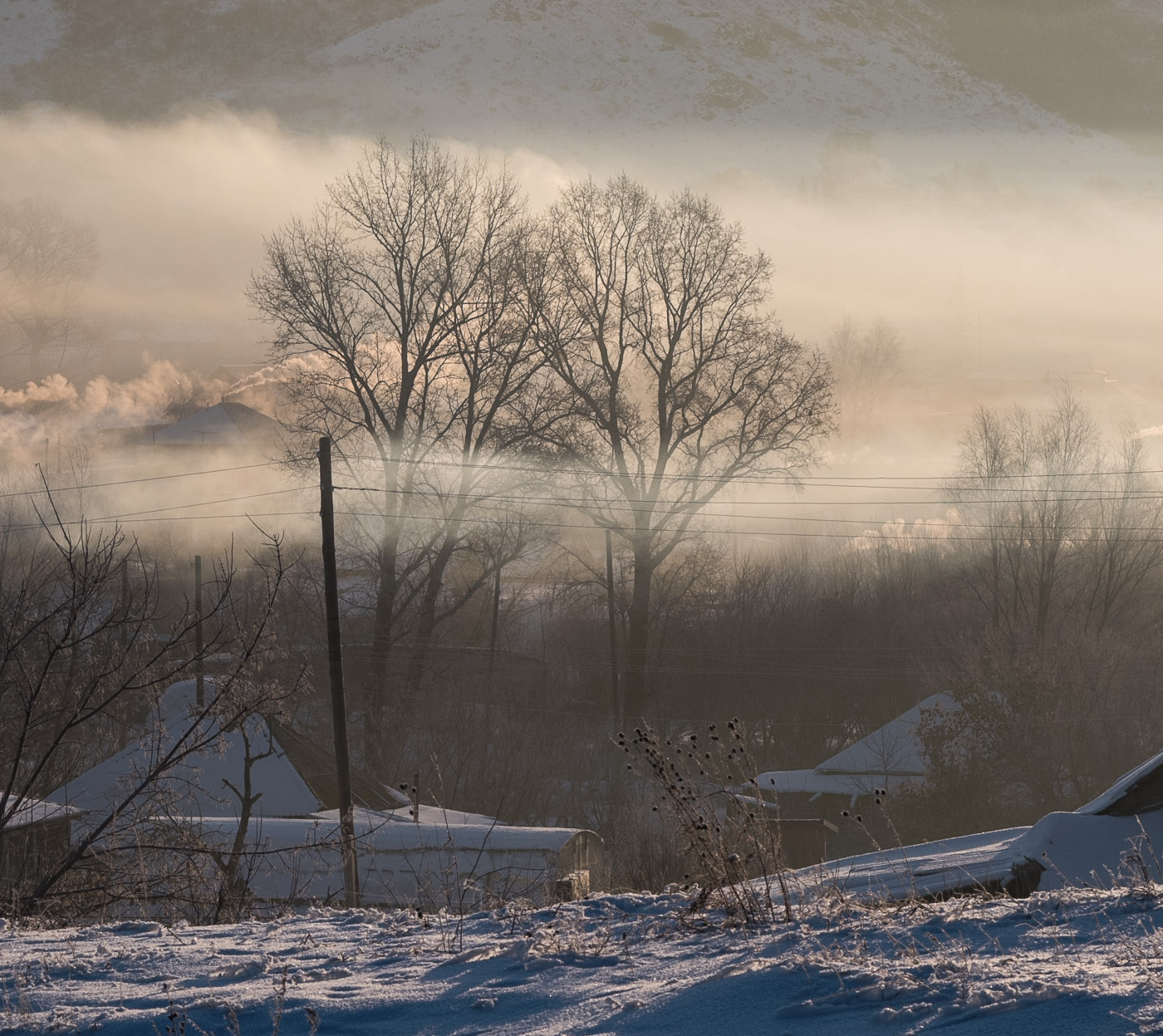 Зимнее утро
