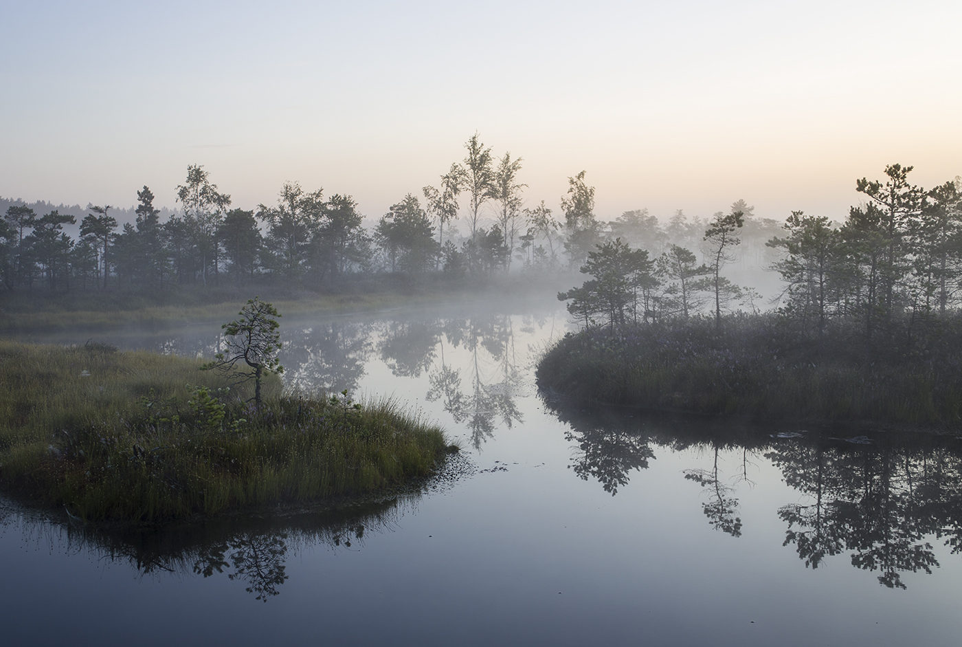 Магия болота