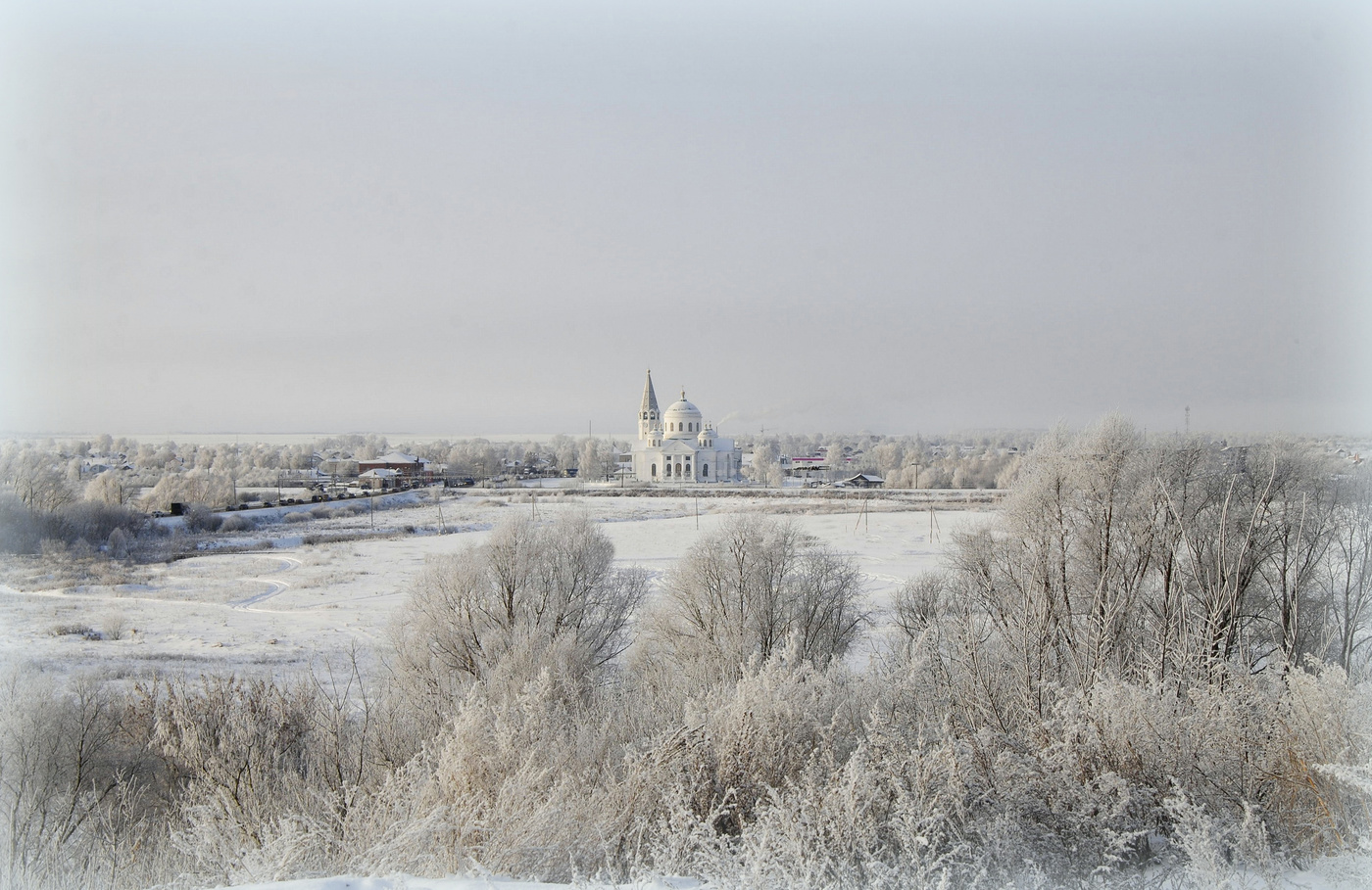 Распустились кисти белой бахромой...