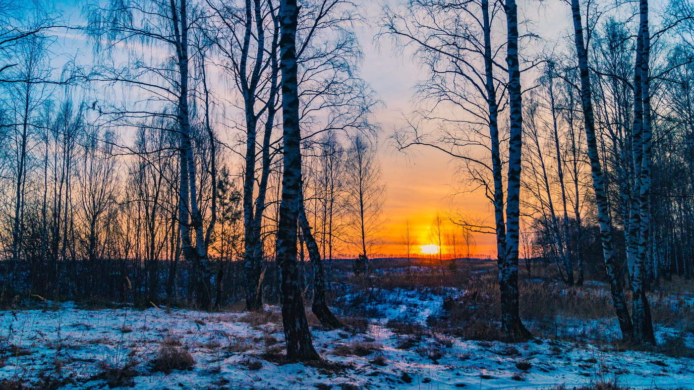 вечер бродит по лесным дорожкам 2