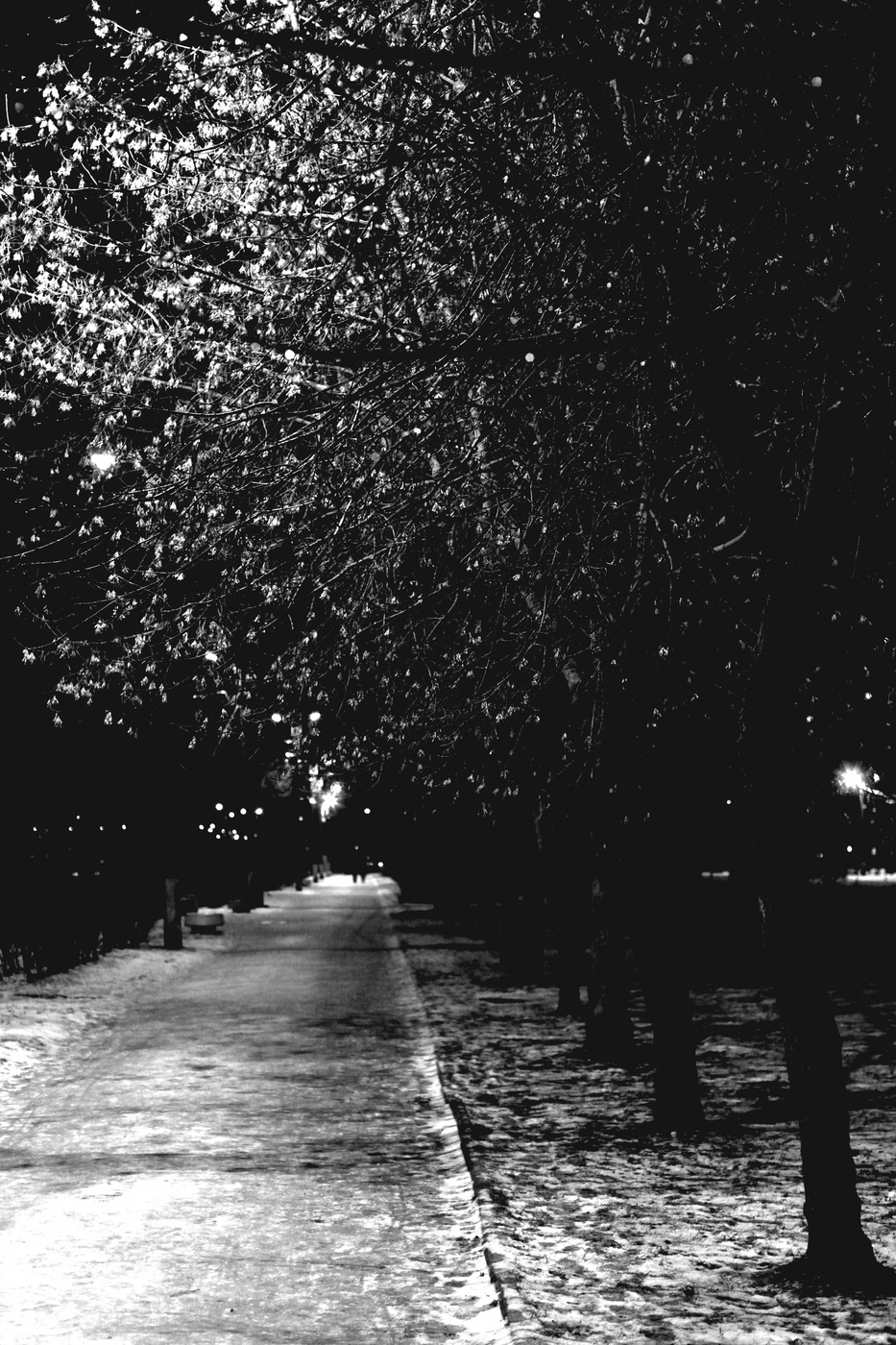 Утопали под клёнами