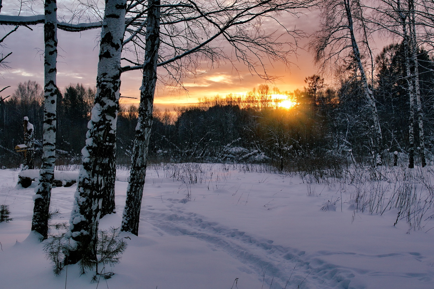 Зимнее утро.