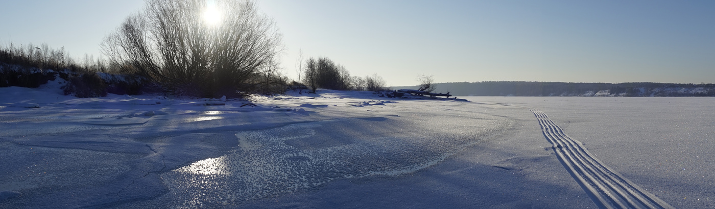 По следам мотособаки.