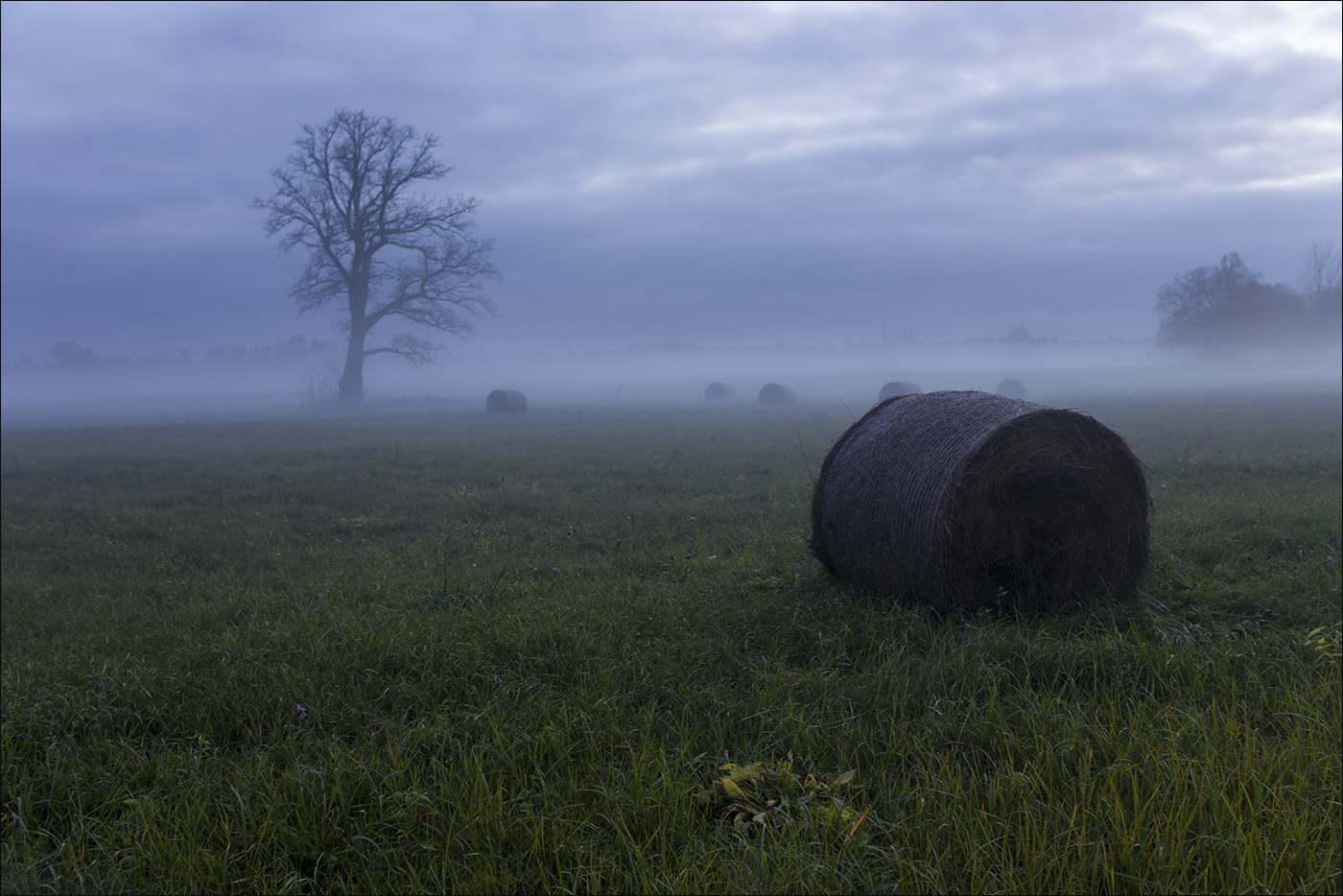 Зона тумана