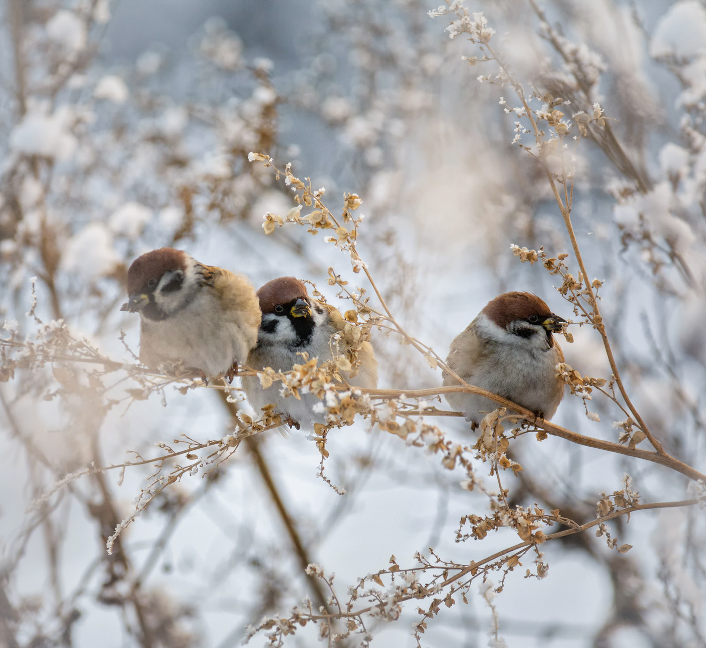 тепло, когда рядышком..