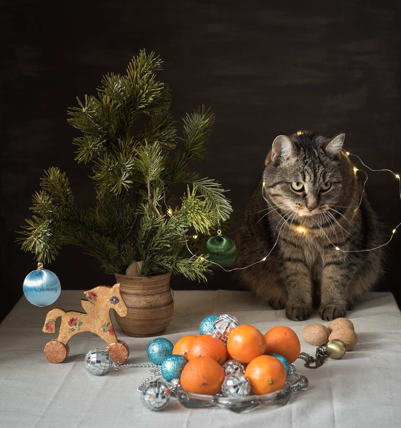 - На мне же гирлянда лучше смотрится?