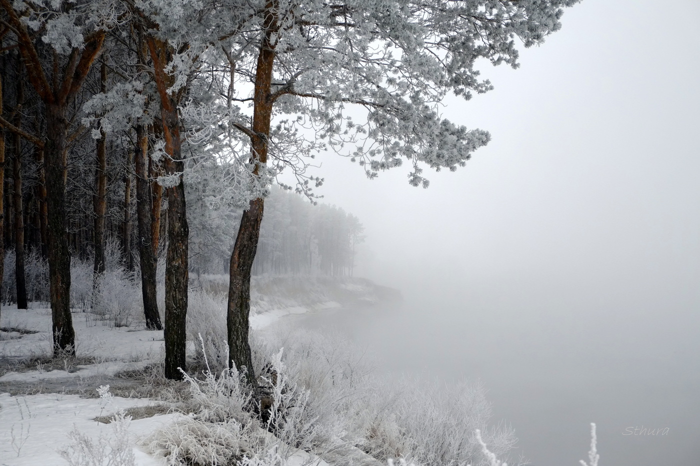 Левый берег Оки.