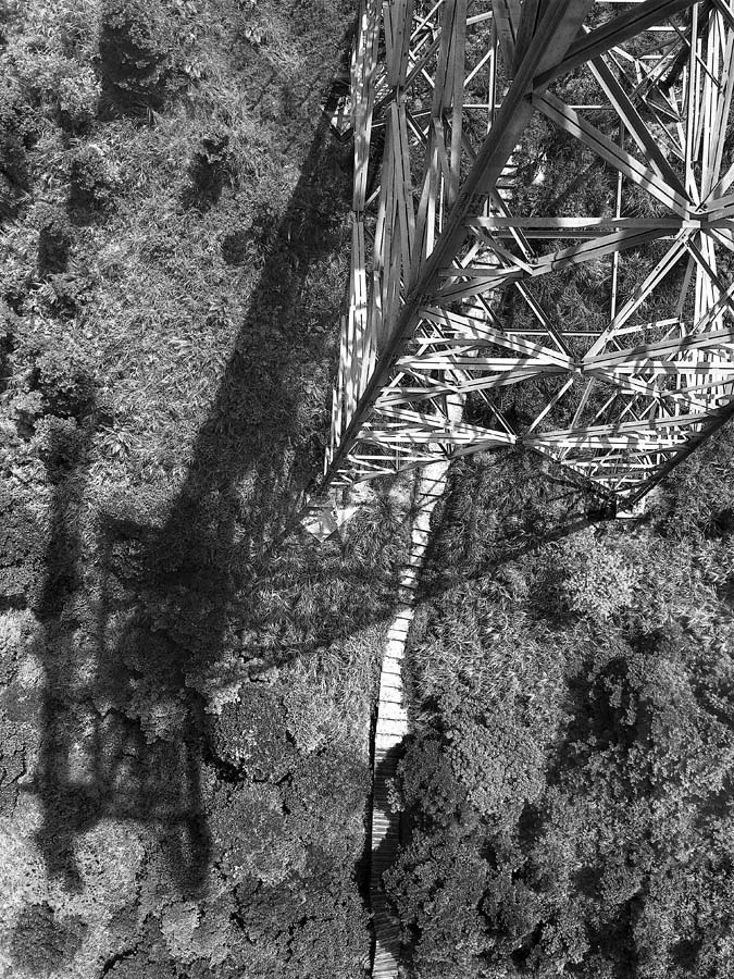 Ракурс. Тень.