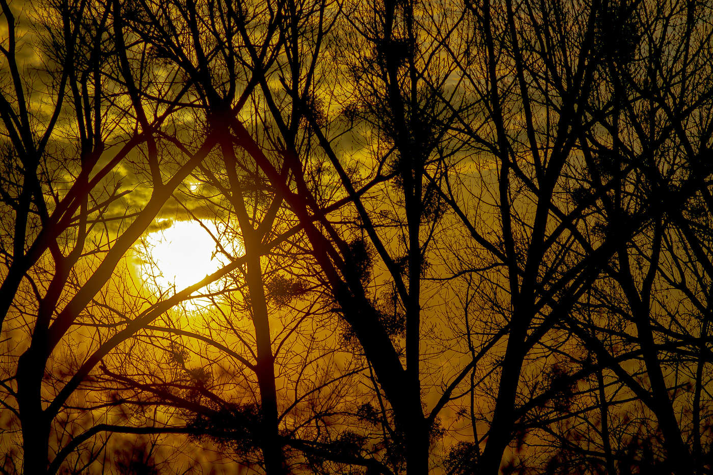 Заплутало...