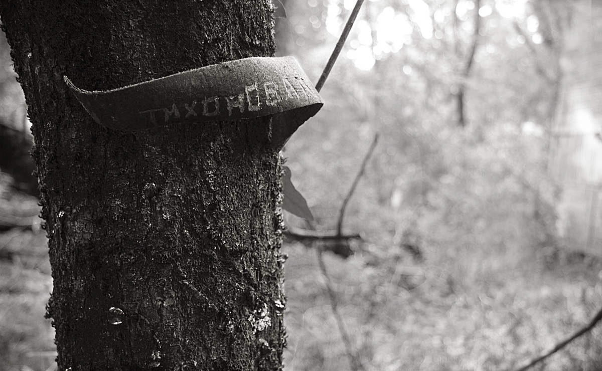 и больше ничего