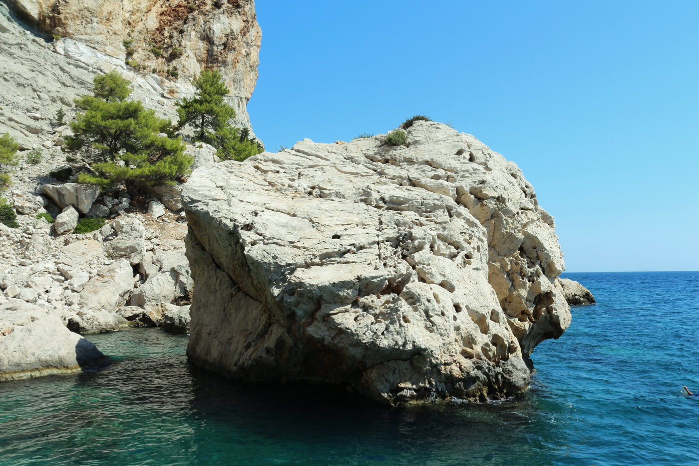 Плавает и не тонет !