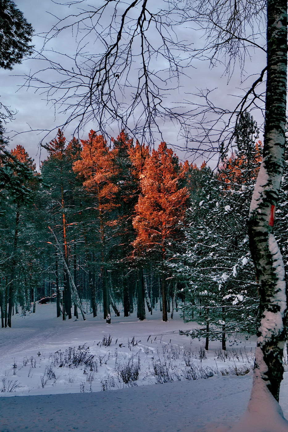На восходе солнца.