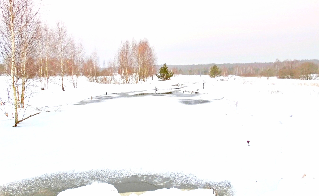 Зимняя зарисовка