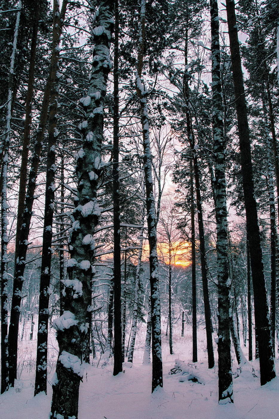 Морозный рассвет.